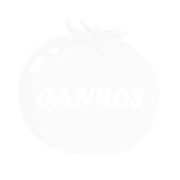 usalogo